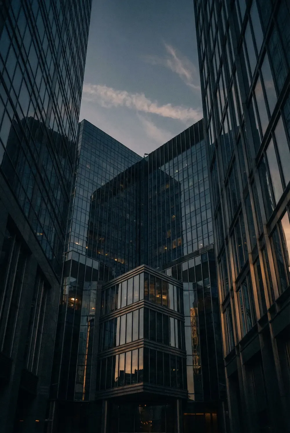 Firemní strategie a kapitálové transakce